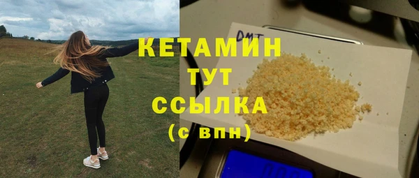 стаф Осинники