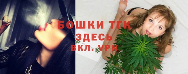сатива Осташков
