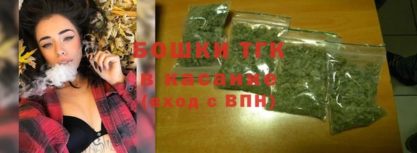 сатива Осташков