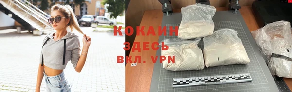 стаф Осинники