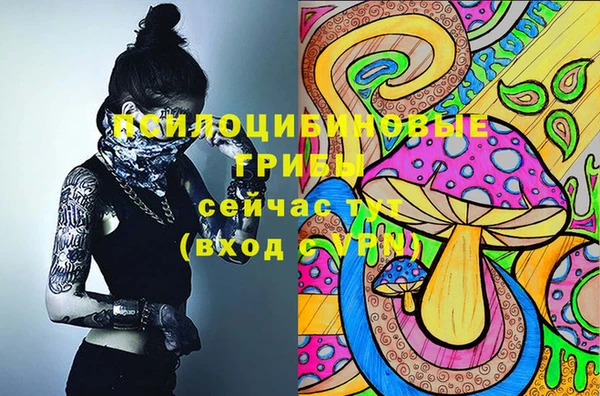 сатива Осташков