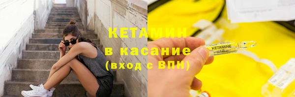 стаф Осинники
