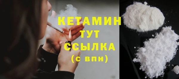 стаф Осинники