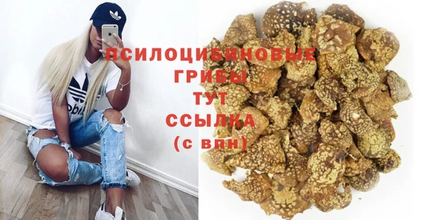 стаф Осинники