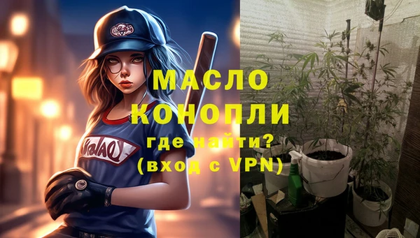 стаф Осинники