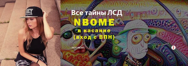 сатива Осташков