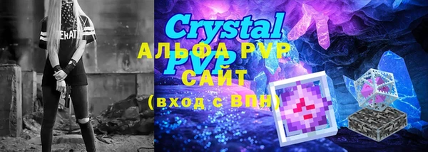 стаф Осинники