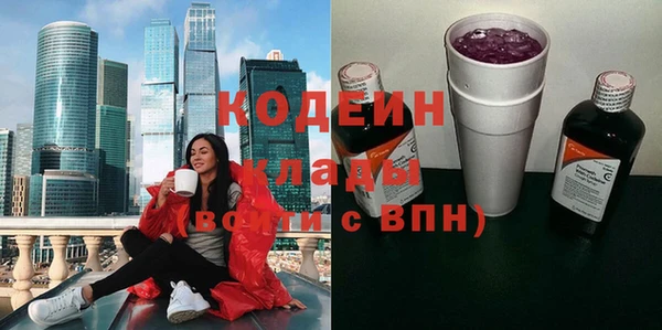стаф Осинники