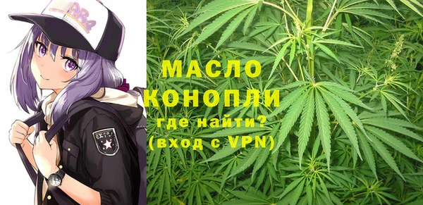 сатива Осташков