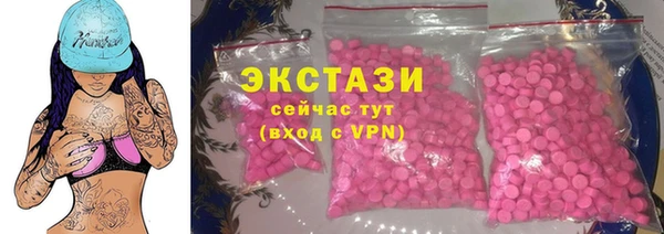 стаф Осинники