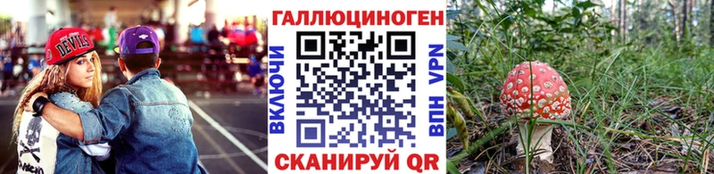 Псилоцибиновые грибы Cubensis  даркнет какой сайт  Циолковский  хочу  